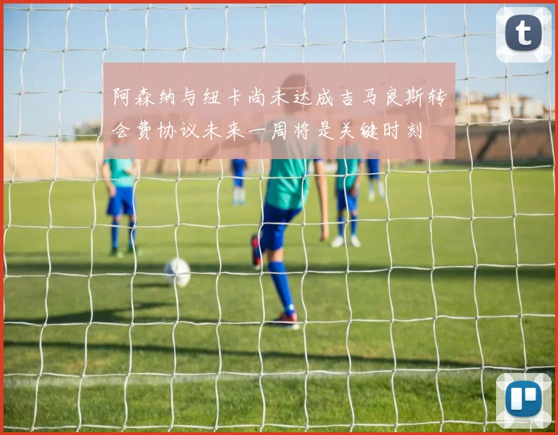 阿森纳与纽卡尚未达成吉马良斯转会费协议未来一周将是关键时刻