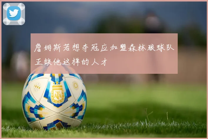 詹姆斯若想夺冠应加盟森林狼球队正缺他这样的人才